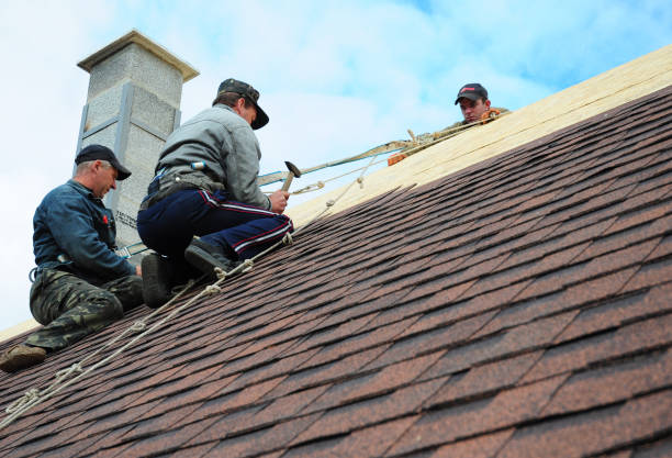 Best Roof Gutter Cleaning  in Rk Forest Village, PA